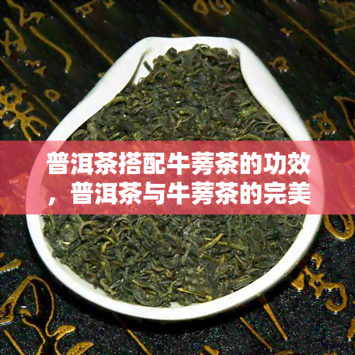 普洱茶搭配牛蒡茶的功效，普洱茶与牛蒡茶的完美组合，养生功效不容错过！