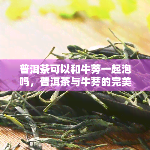 普洱茶可以和牛蒡一起泡吗，普洱茶与牛蒡的完美搭配：能否一起泡？