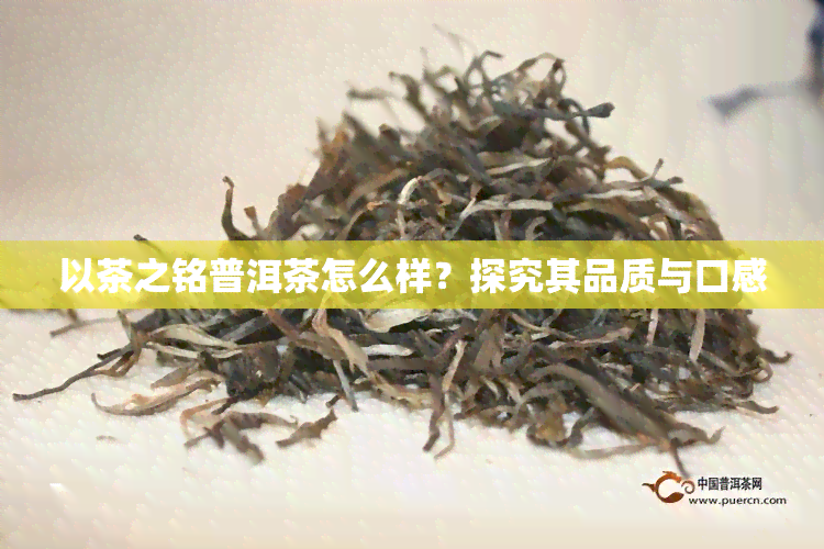 以茶之铭普洱茶怎么样？探究其品质与口感