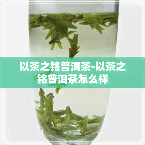 以茶之铭普洱茶-以茶之铭普洱茶怎么样