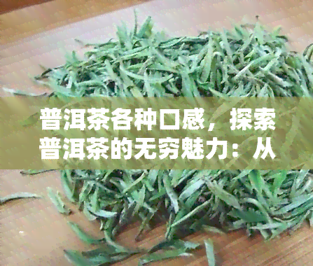 普洱茶各种口感，探索普洱茶的无穷魅力：从醇厚到清新，体验不同口感的乐趣