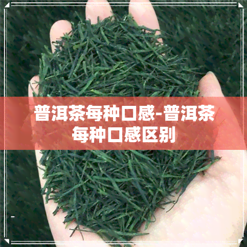 普洱茶每种口感-普洱茶每种口感区别