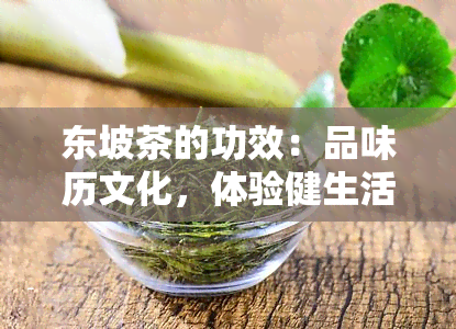 东坡茶的功效：品味历文化，体验健生活