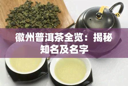 徽州普洱茶全览：揭秘知名及名字