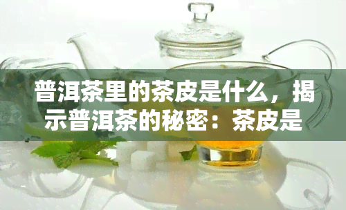 普洱茶里的茶皮是什么，揭示普洱茶的秘密：茶皮是什么？