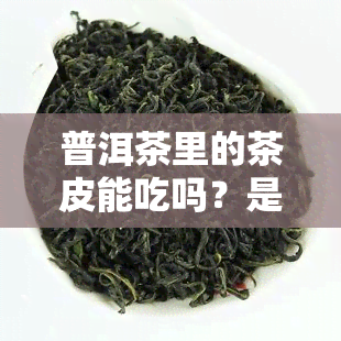 普洱茶里的茶皮能吃吗？是否有？看图了解真相