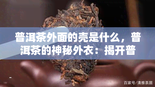 普洱茶外面的壳是什么，普洱茶的神秘外衣：揭开普洱茶外壳的秘密