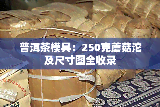 普洱茶模具：250克蘑菇沱及尺寸图全收录