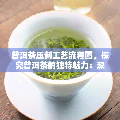 普洱茶压制工艺流程图，探究普洱茶的独特魅力：深入了解其压制工艺流程图