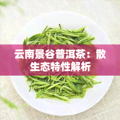 云南景谷普洱茶：散生态特性解析