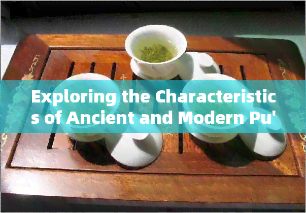 Exploring the Characteristics of Ancient and Modern Pu'er Tea