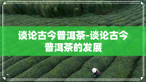 谈论古今普洱茶-谈论古今普洱茶的发展