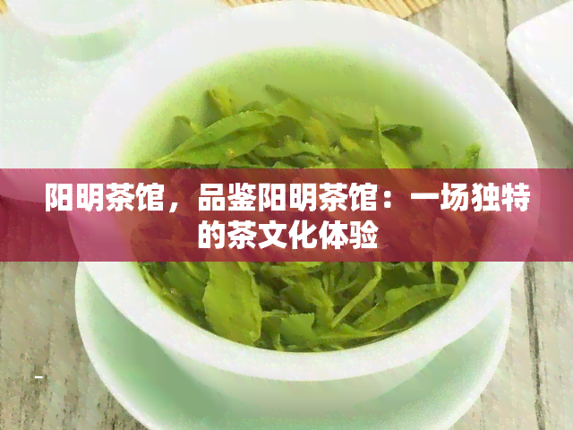 阳明茶馆，品鉴阳明茶馆：一场独特的茶文化体验