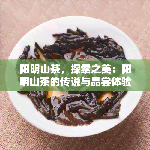 阳明山茶，探索之美：阳明山茶的传说与品尝体验