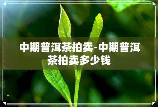 中期普洱茶拍卖-中期普洱茶拍卖多少钱