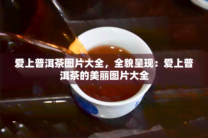 爱上普洱茶图片大全，全貌呈现：爱上普洱茶的美丽图片大全