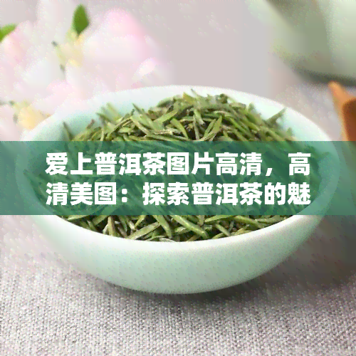 爱上普洱茶图片高清，高清美图：探索普洱茶的魅力，让你一见情