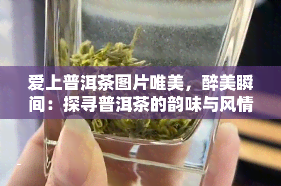 爱上普洱茶图片唯美，醉美瞬间：探寻普洱茶的韵味与风情