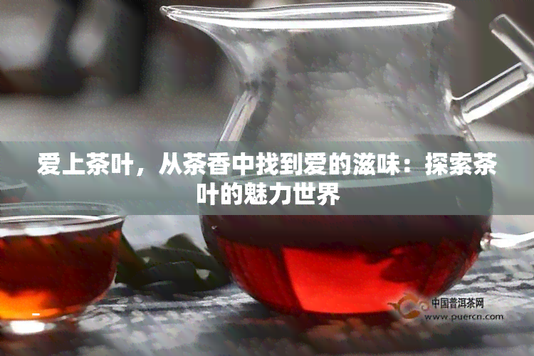 爱上茶叶，从茶香中找到爱的滋味：探索茶叶的魅力世界