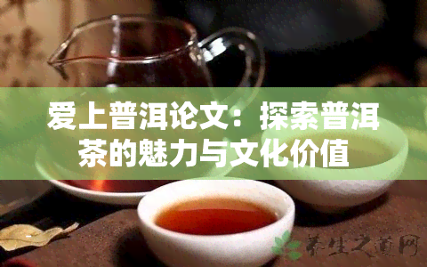 爱上普洱论文：探索普洱茶的魅力与文化价值