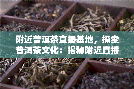 附近普洱茶直播基地，探索普洱茶文化：揭秘附近直播基地的精彩