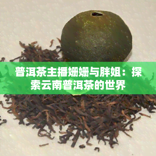 普洱茶主播姗姗与胖姐：探索云南普洱茶的世界