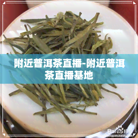 附近普洱茶直播-附近普洱茶直播基地