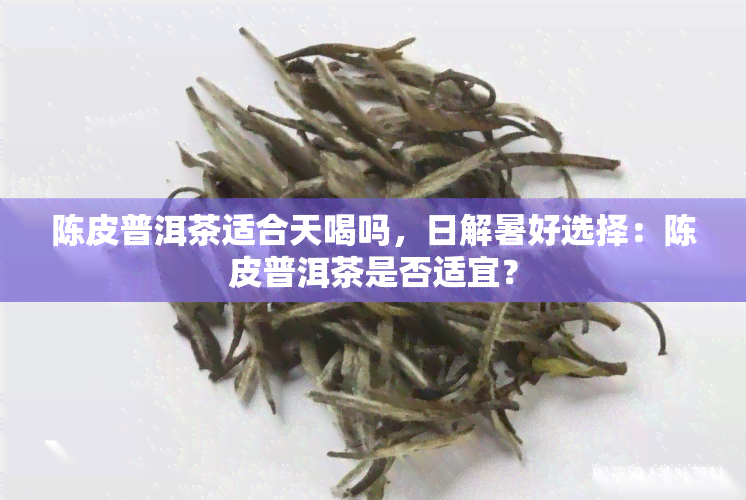 陈皮普洱茶适合天喝吗，日解暑好选择：陈皮普洱茶是否适宜？