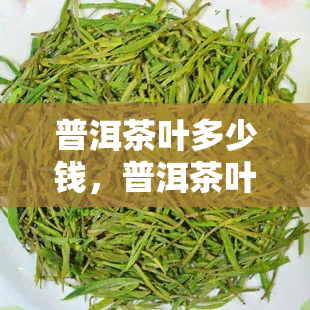 普洱茶叶多少钱，普洱茶叶价格查询，了解市场价格趋势