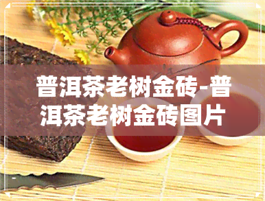 普洱茶老树金砖-普洱茶老树金砖图片