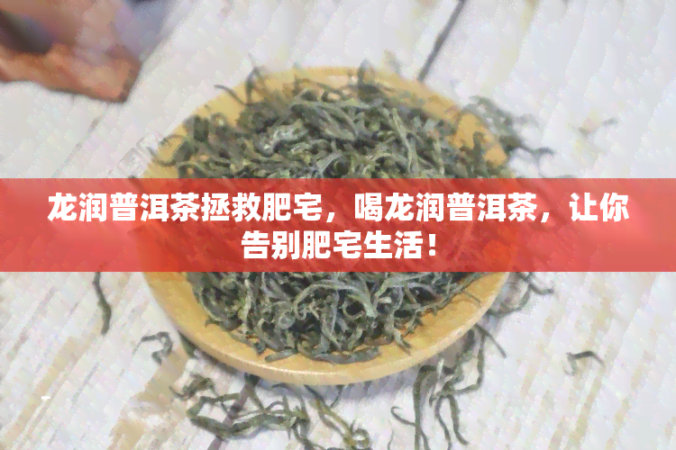 龙润普洱茶拯救肥宅，喝龙润普洱茶，让你告别肥宅生活！