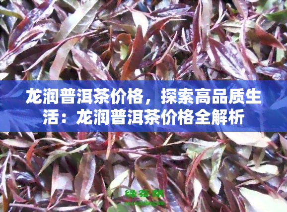 龙润普洱茶价格，探索高品质生活：龙润普洱茶价格全解析