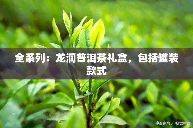 全系列：龙润普洱茶礼盒，包括罐装款式