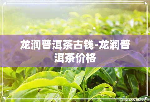 龙润普洱茶古钱-龙润普洱茶价格