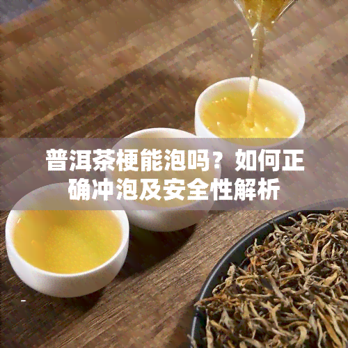 普洱茶梗能泡吗？如何正确冲泡及安全性解析