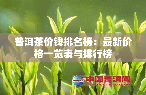 普洱茶价钱排名榜：最新价格一览表与排行榜