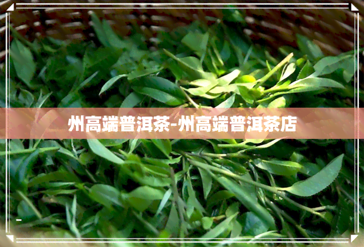 州高端普洱茶-州高端普洱茶店