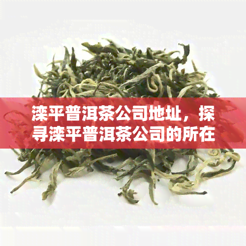 滦平普洱茶公司地址，探寻滦平普洱茶公司的所在地