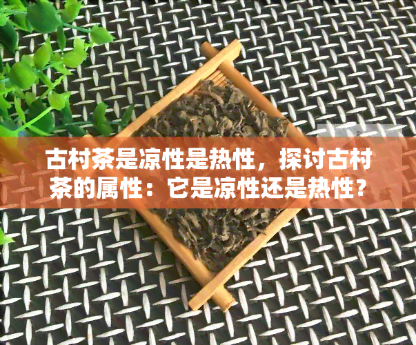 古村茶是凉性是热性，探讨古村茶的属性：它是凉性还是热性？