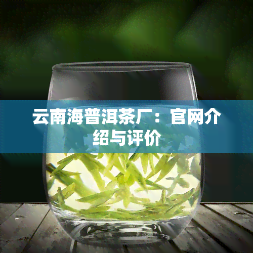 云南海普洱茶厂：官网介绍与评价