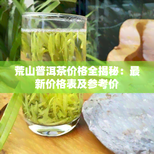 荒山普洱茶价格全揭秘：最新价格表及参考价