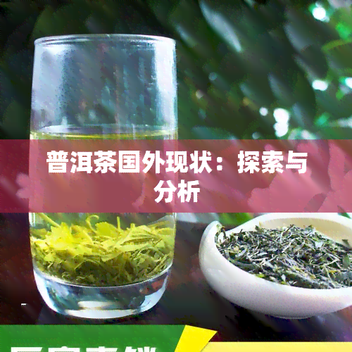 普洱茶国外现状：探索与分析