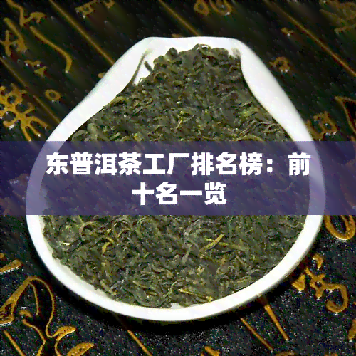 东普洱茶工厂排名榜：前十名一览