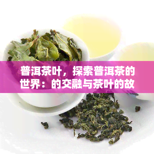 普洱茶叶，探索普洱茶的世界：的交融与茶叶的故事