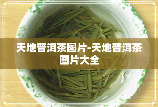 天地普洱茶图片-天地普洱茶图片大全