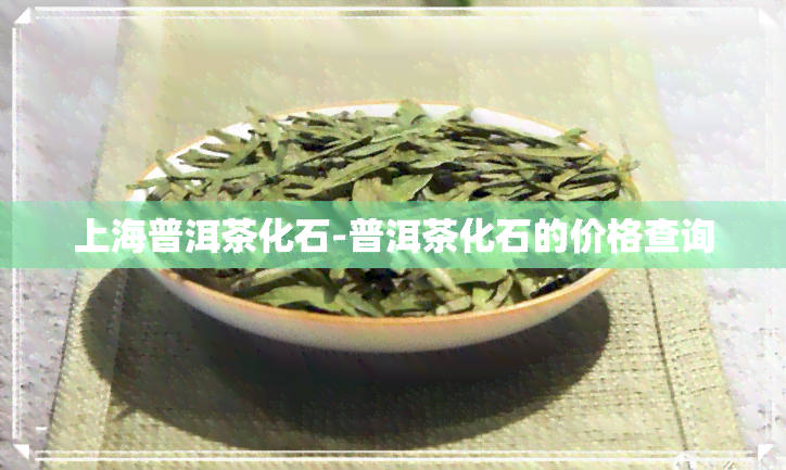 上海普洱茶化石-普洱茶化石的价格查询