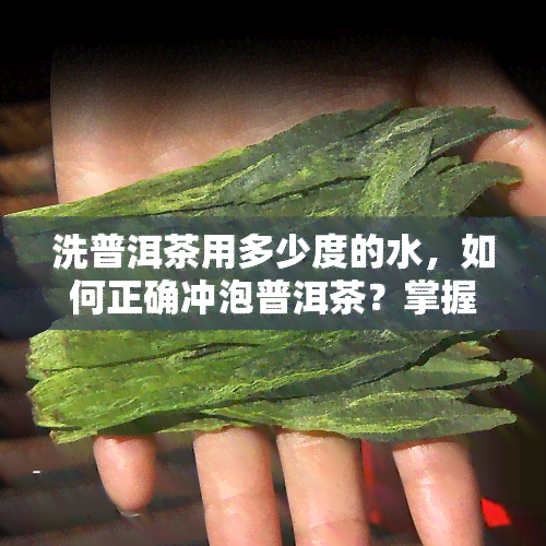 洗普洱茶用多少度的水，如何正确冲泡普洱茶？掌握水是关键！