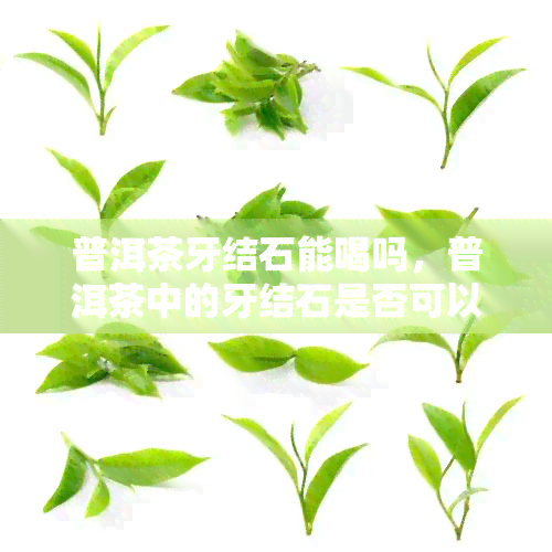 普洱茶牙结石能喝吗，普洱茶中的牙结石是否可以饮用？