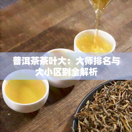 普洱茶茶叶大：大师排名与大小区别全解析