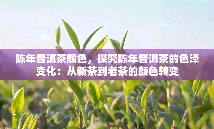 陈年普洱茶颜色，探究陈年普洱茶的色泽变化：从新茶到老茶的颜色转变